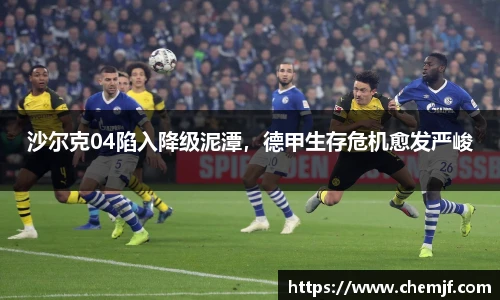 中欧体育官方网站
