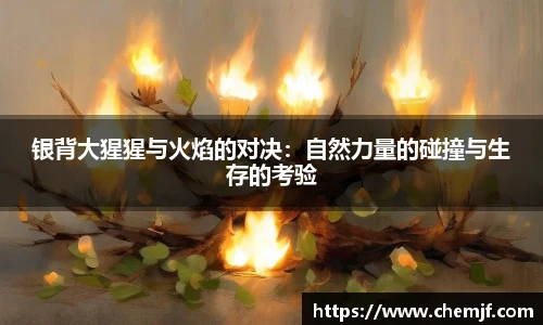 中欧体育官方网站